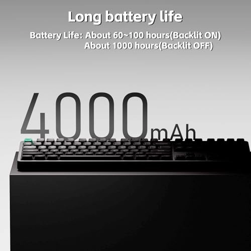 Node100 - Wired/Wireless