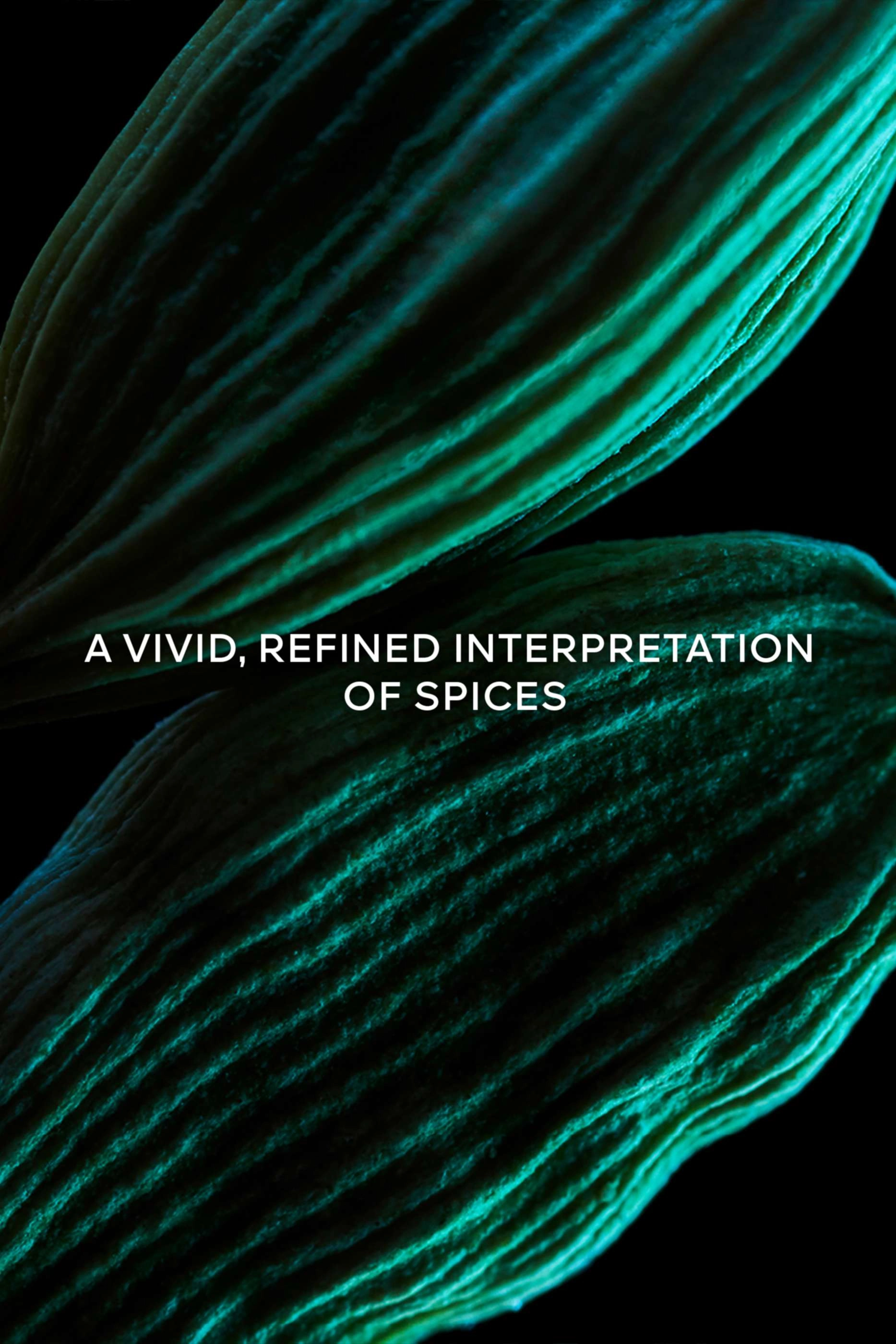 Épices Volées Eau de Parfum 100ml