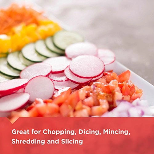 FP1600B - 8-Cup 450W