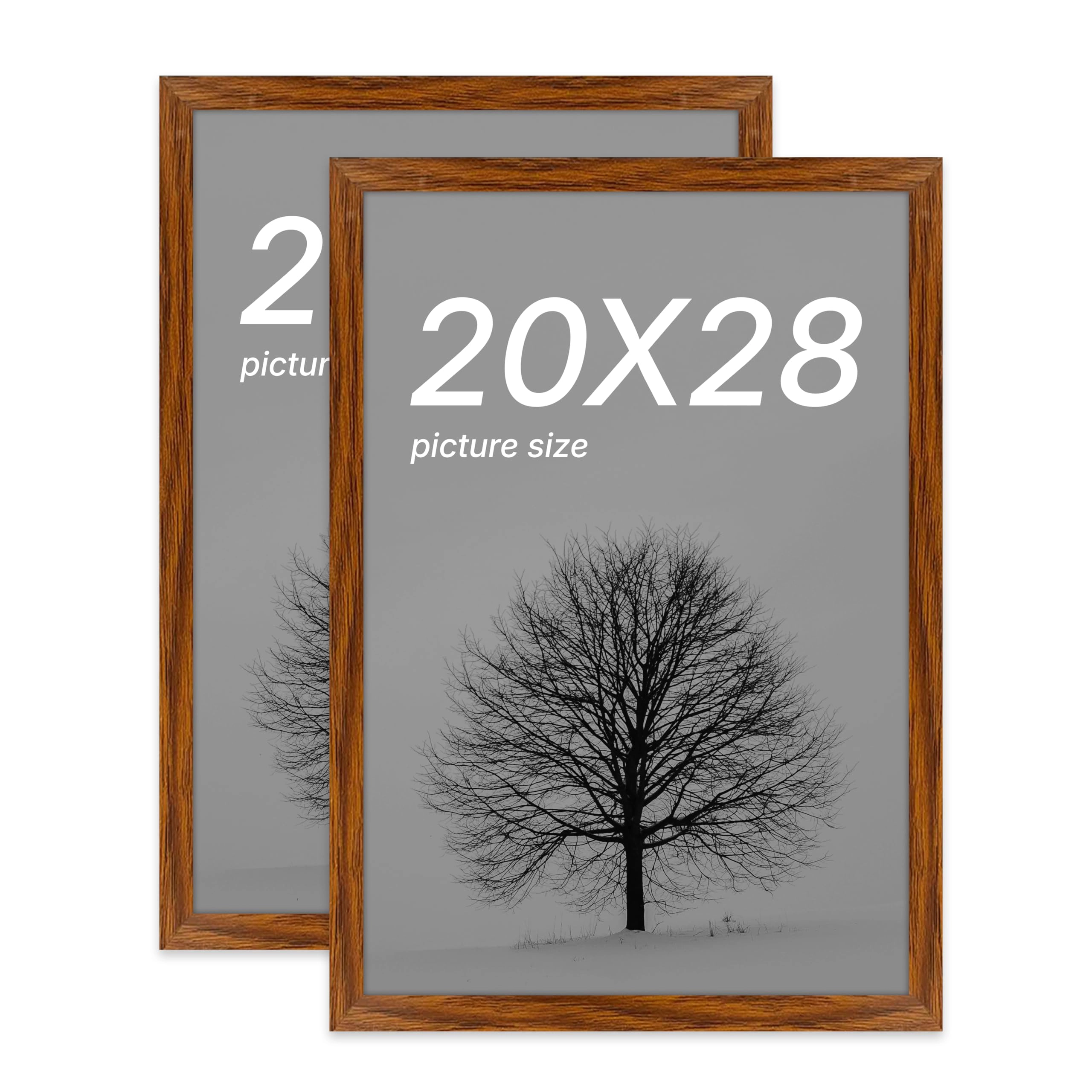 Edge Square Document Frame - 20x28 Inch 2 Set