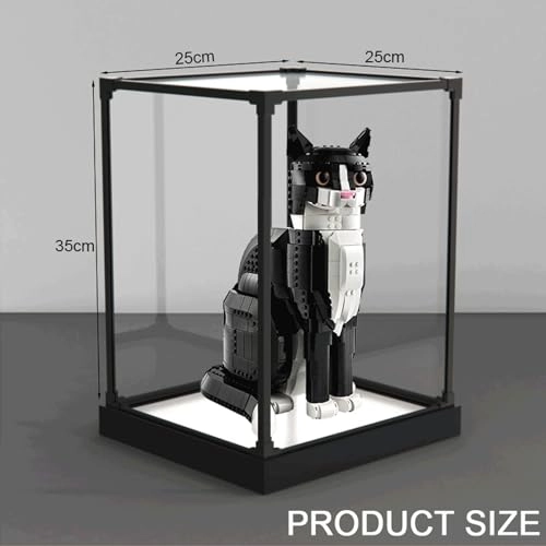 Acrylic Display Case - 1 Lego 21349