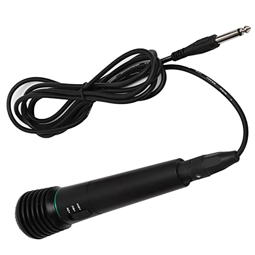 Bewinner2tvc41ykxu Wired+Wireless Microphone