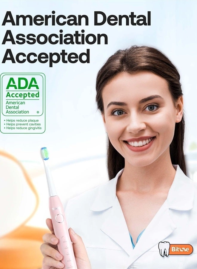 D2 - 40000 movements per minute 8 Replacement Heads 5 Modes