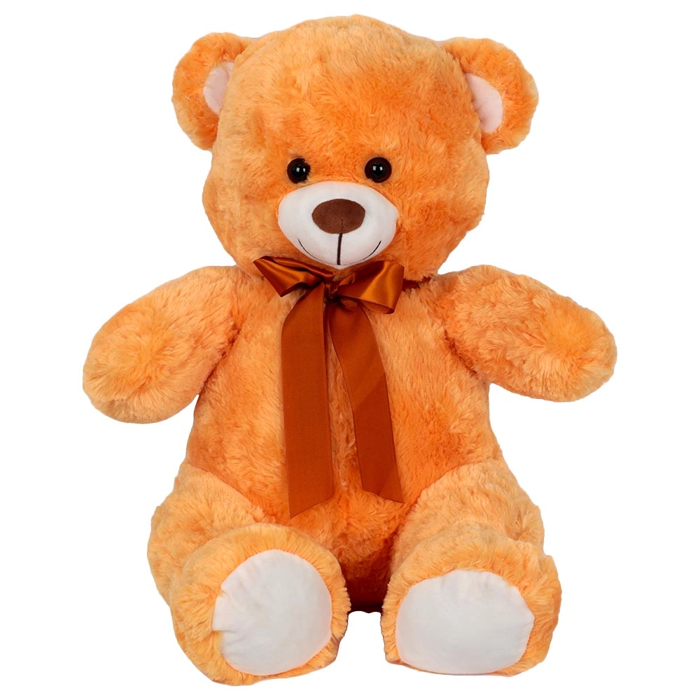 50th Year Anniversary UAE Bear Plush - 24 Inch