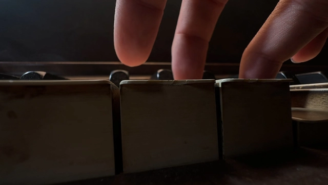 Macro video, anyone?