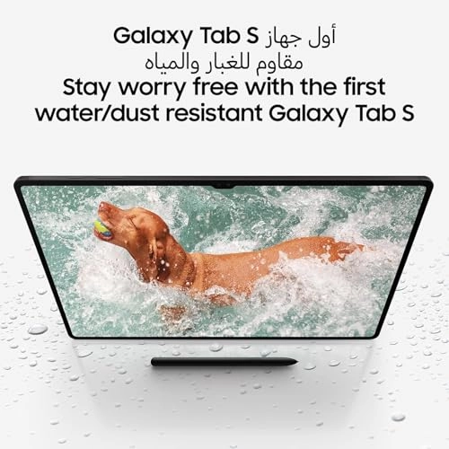 Galaxy Tab S9 FE+ - 128GB 12.4"