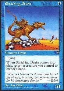 Wizards of the Coast Shrieking Drake - Visions - 1pcs