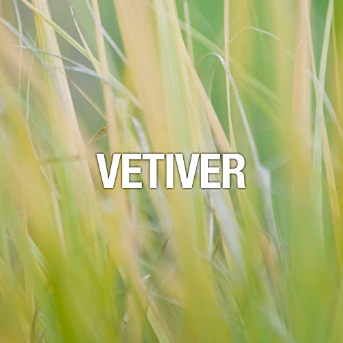 Sport - 125 Milliliters