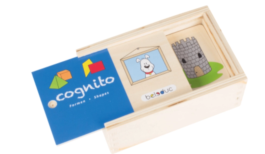 Cognito Matching Puzzle - 4 +