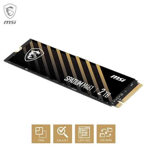 Spatium M461 - 2TB M 2