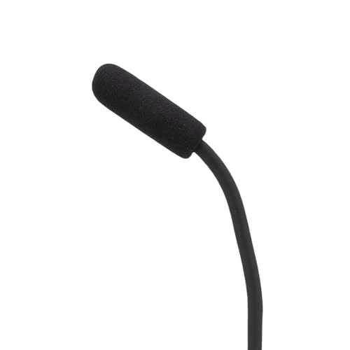 Wisoqueu1fpy4cbs USB Microphone