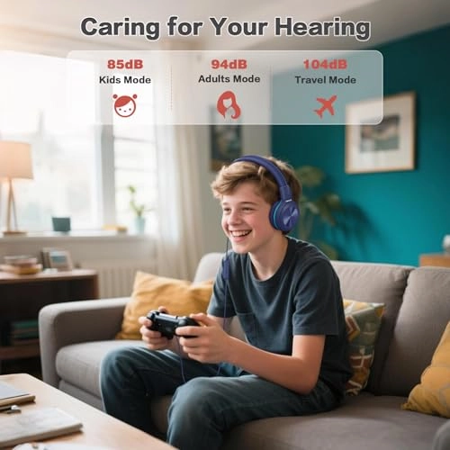 SM-904 Wired Headphone