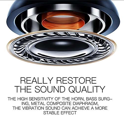 DM10 - Wired Earphone