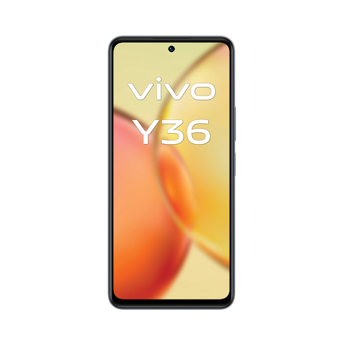 Y36 - 8GB 256GB