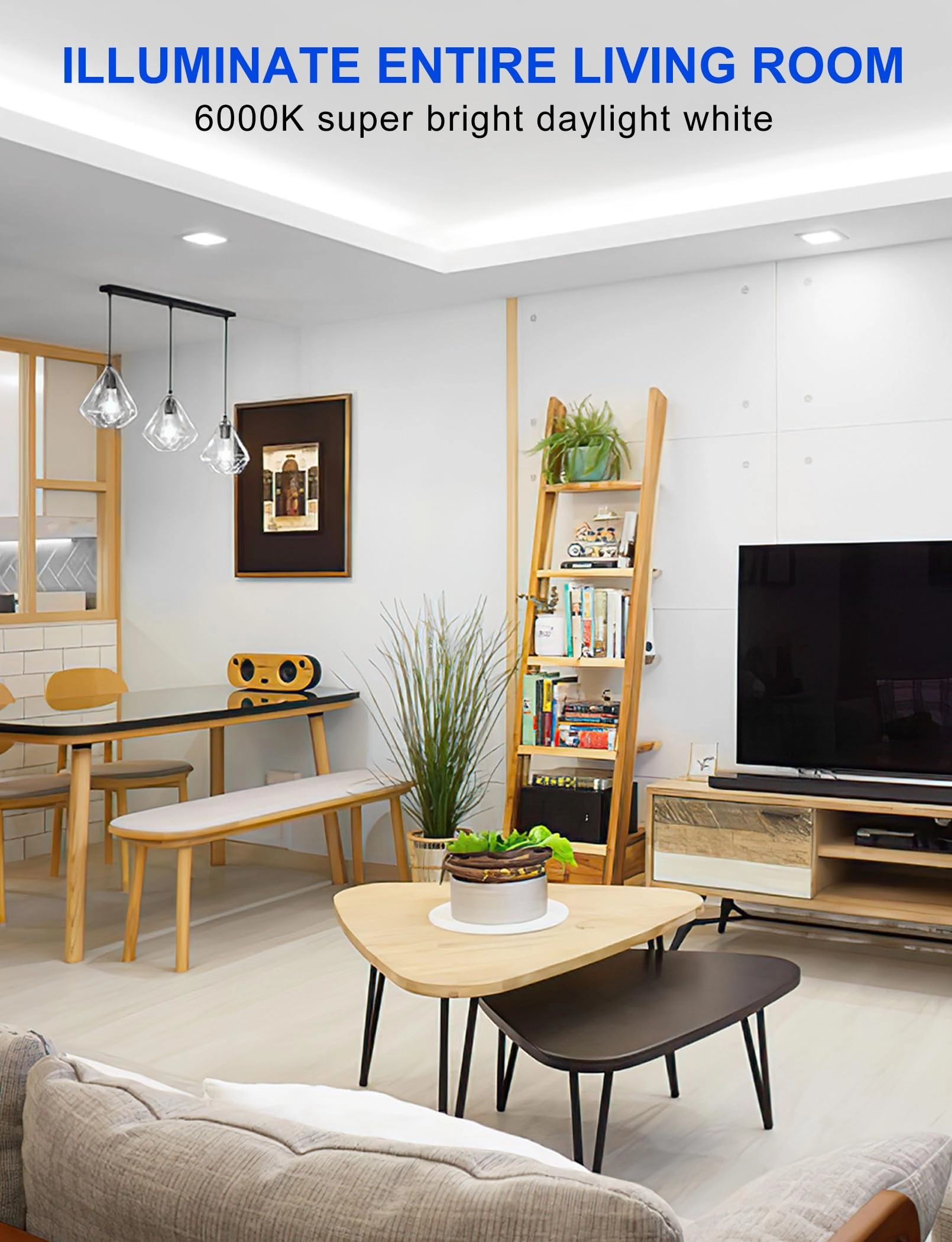 COB LED Strip Light - 10M