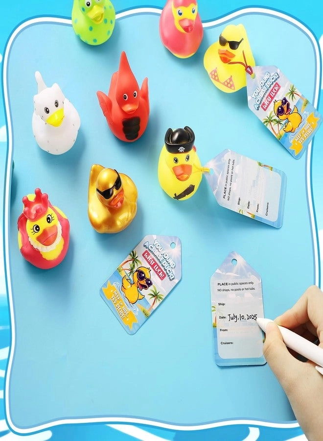 Cruise Rubber Ducks - Hiding Kits