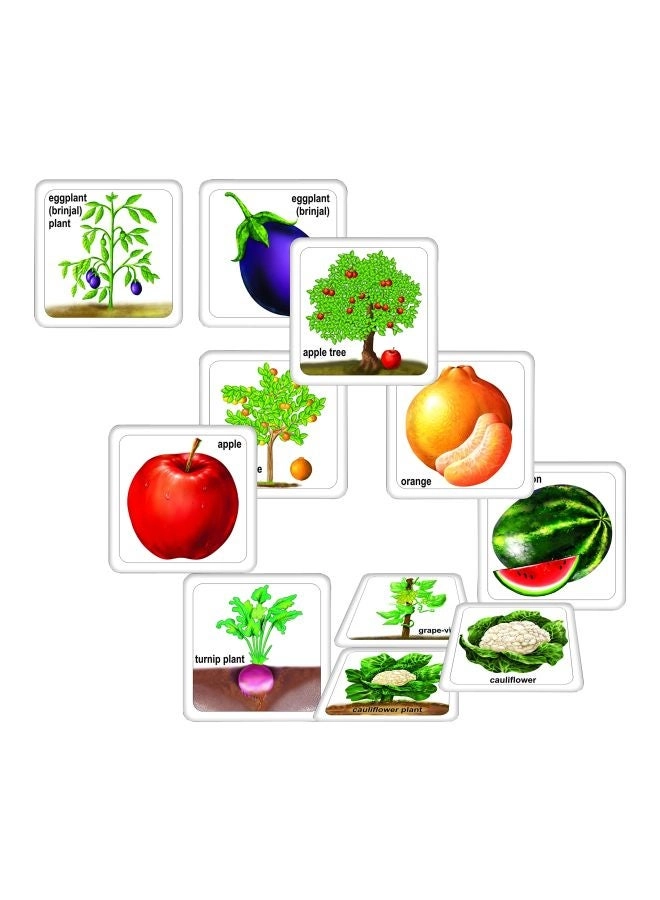 Preschool Fruits, Vegetables And Their Plants Card Games - 4 years+