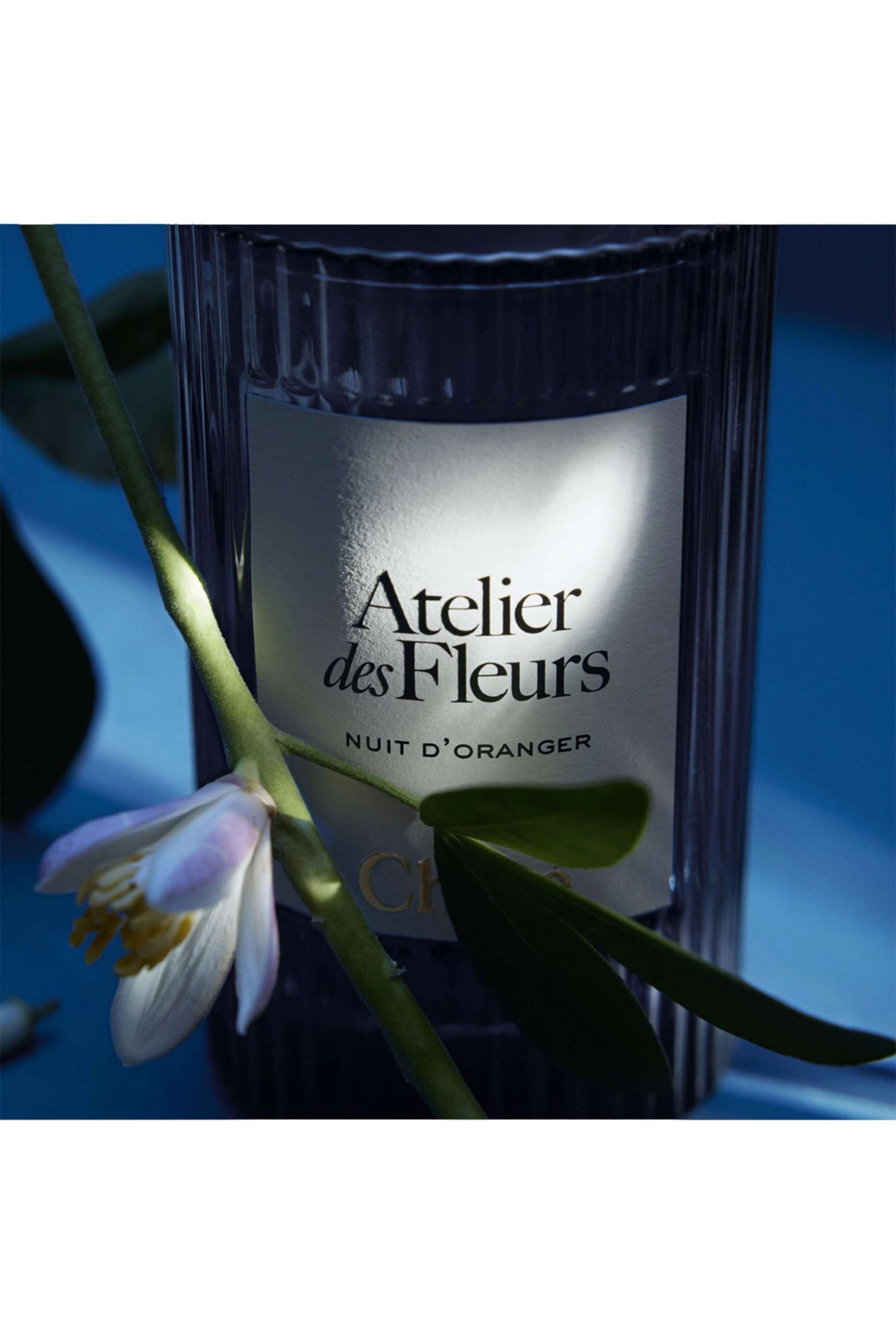 Nuit d'Oranger Eau de Parfum - 50ml