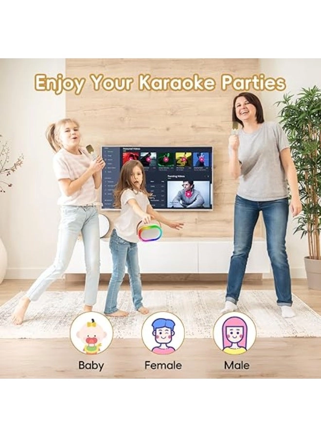 Karaoke machine - 2 wireless microphone