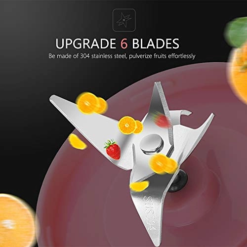 Portable Mini Fruit Juice Blender - 550ml 2000mAh