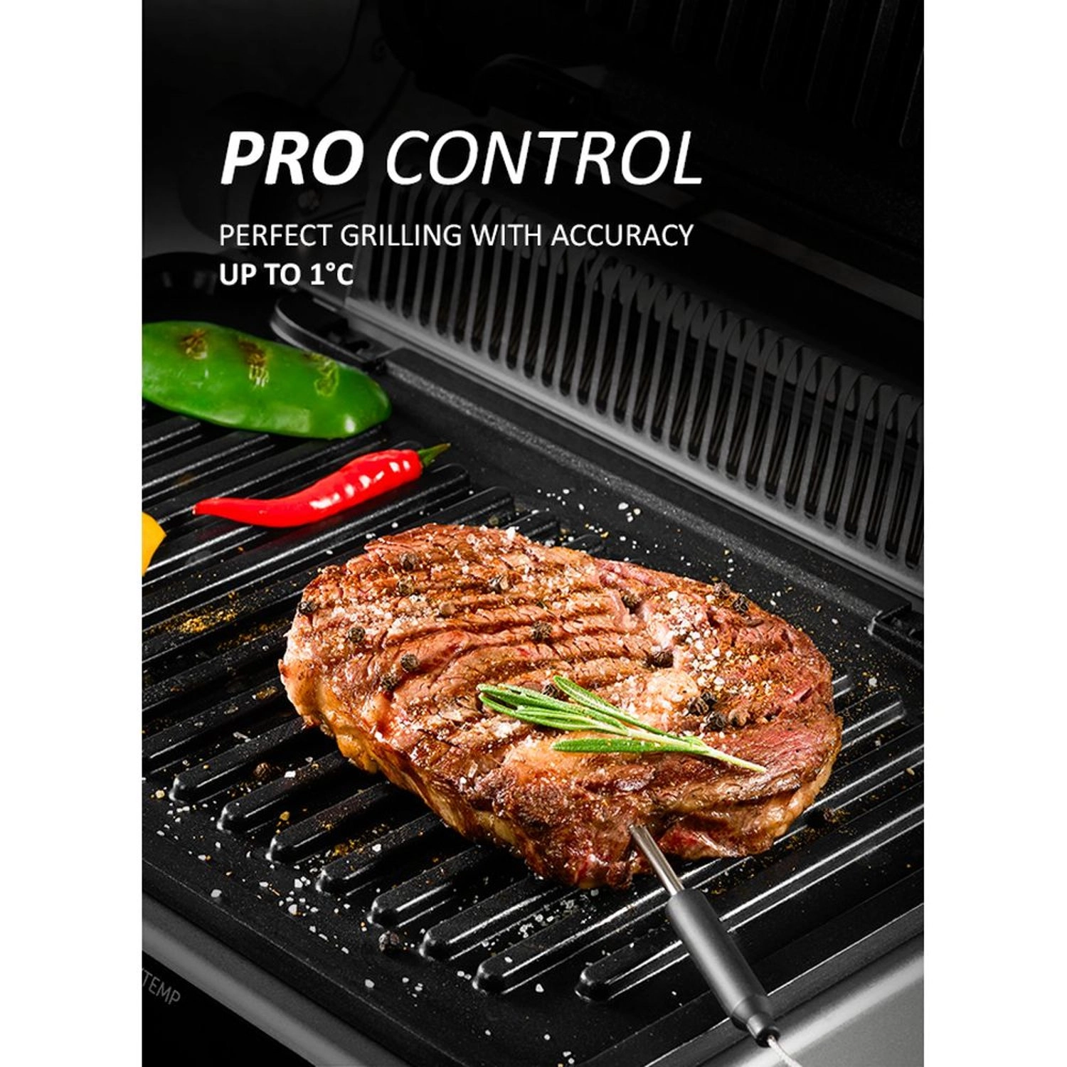 PGP 3010 - 2000 Watt Graphite