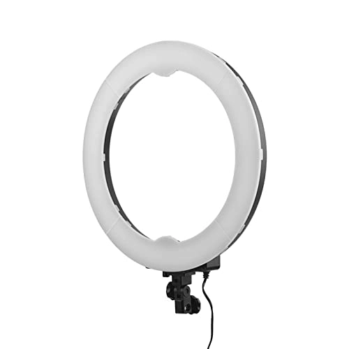 Ring Light - 19 Inch