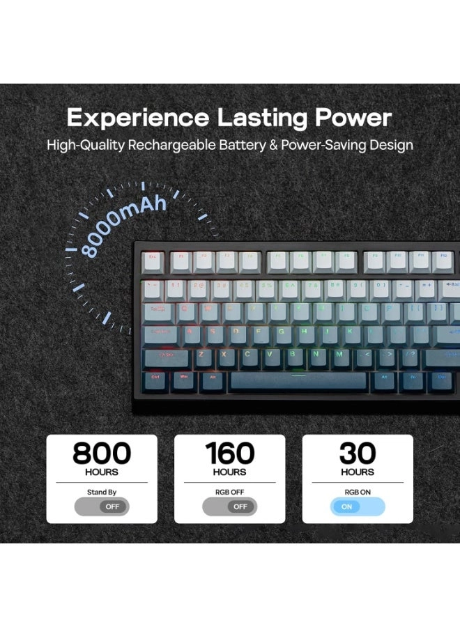 HE65 - Wired/Wireless