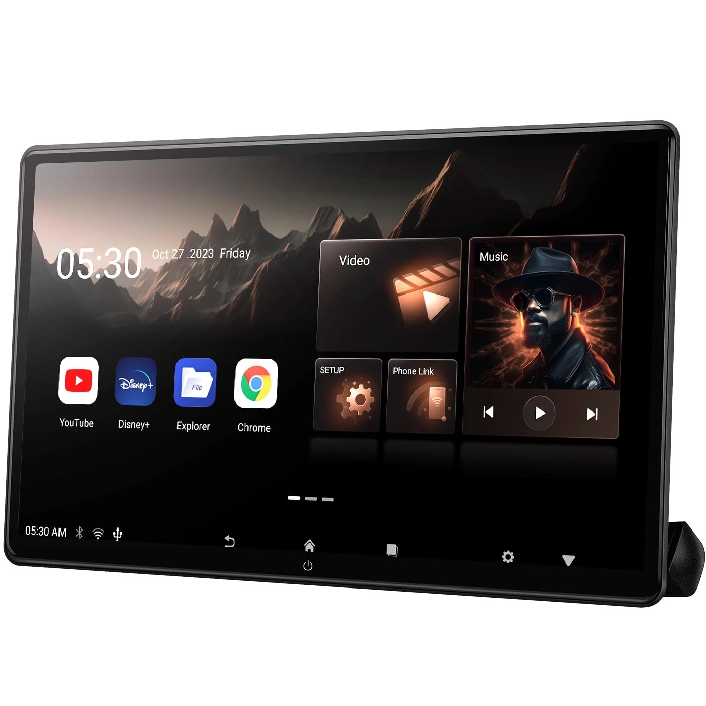 Headrest Monitor - 156 inch