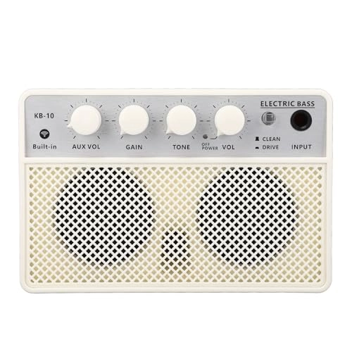 Compact Bass Amplifier - 10W Dual Channel