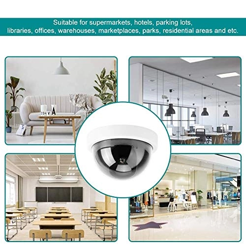Dome Simulation Camera - Indoor,Outdoor