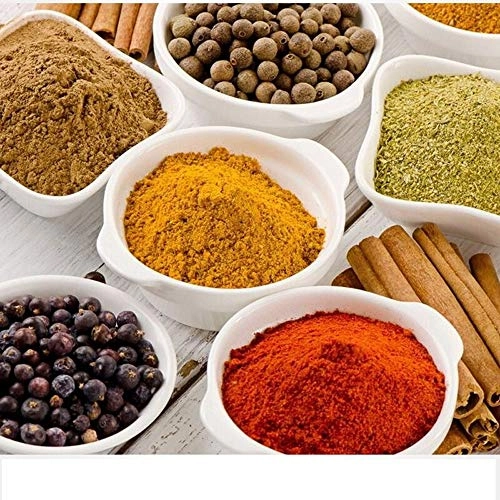 Mini Juicer - 300W 500ml