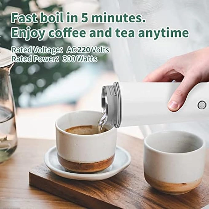Travel Electric Kettle