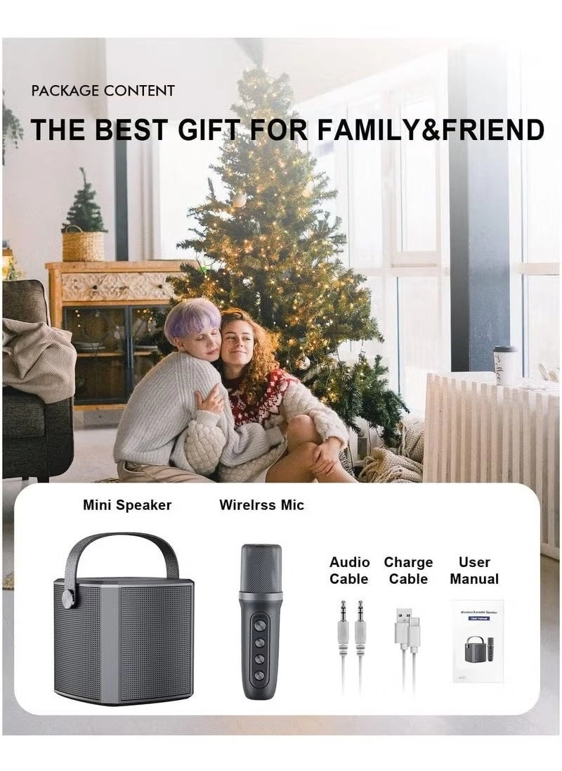 YS-102 - Bluetooth Karaoke Speaker