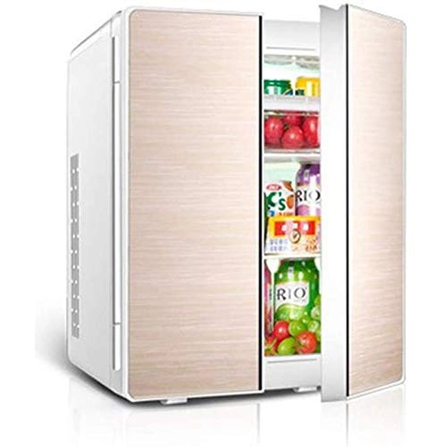 Car Double Door Mini Refrigerator - Dual Voltage Portable
