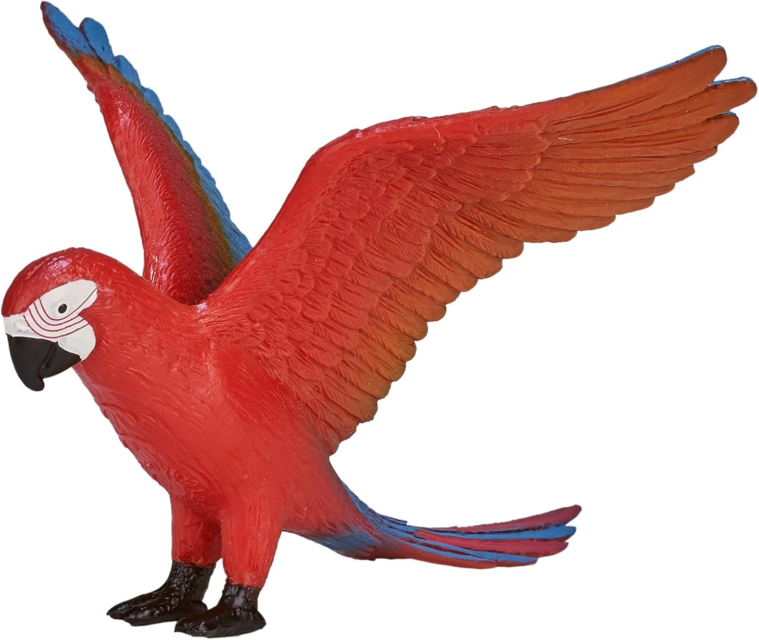 Play and Dream Parrot