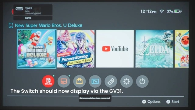 GV31 300 ANSI lumens