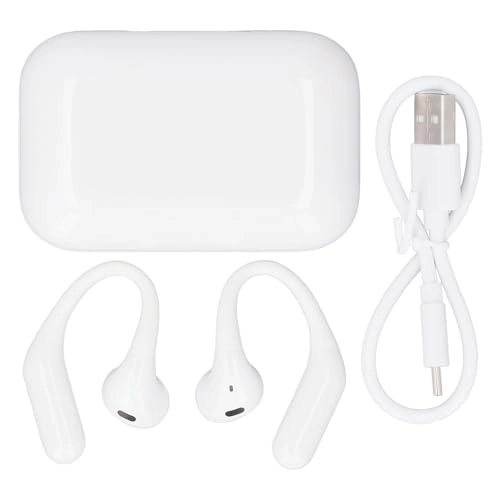 Al Translation Earphone