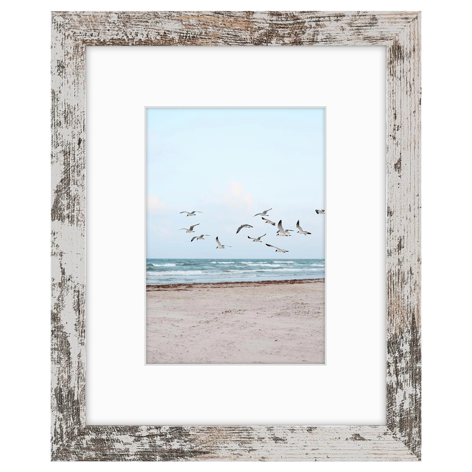 Single Picture Frame - 8x10 1