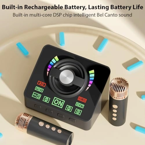 Karaoke Machine - 2 15W