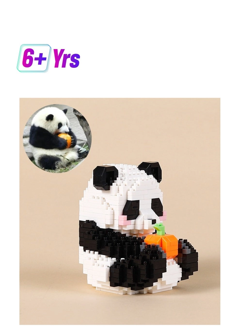 Generic Panda Icons (Huahua Eating Pumpkin) - Animals 6+ Years