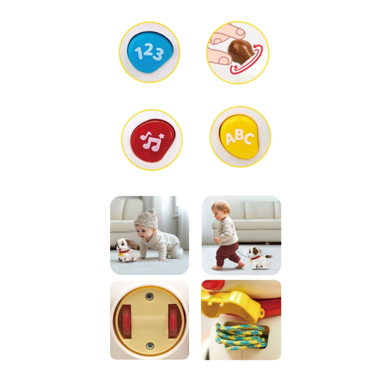 Crawl & Pull Along Learning Puppy - Multicolor 2-In-1 Play Modes