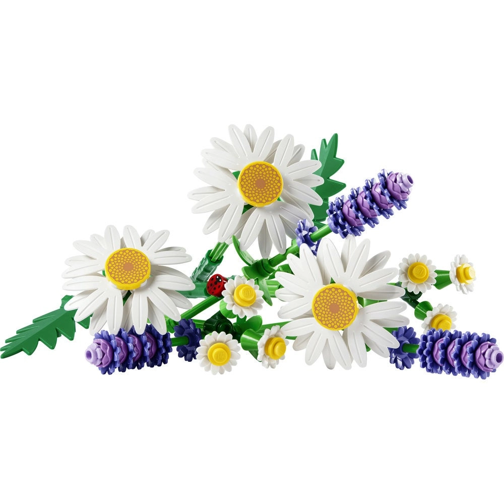 Daisies (11508)