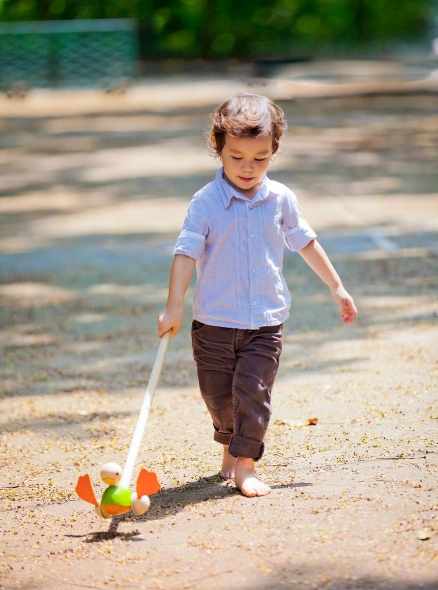 Push Along Duck - 3 + Multi Colour