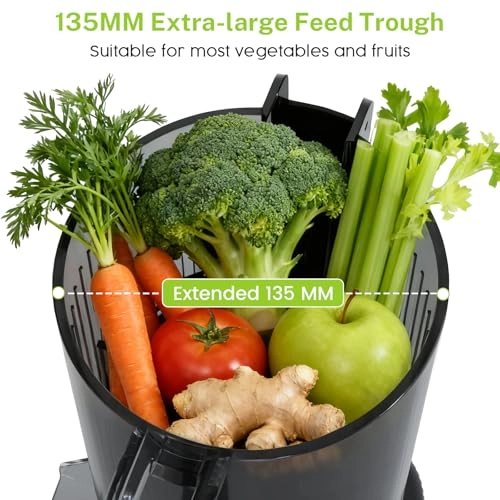 Cold Press Juicer - 300 watts