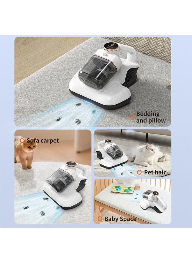 Dust Mite Vacuum (HB-802)