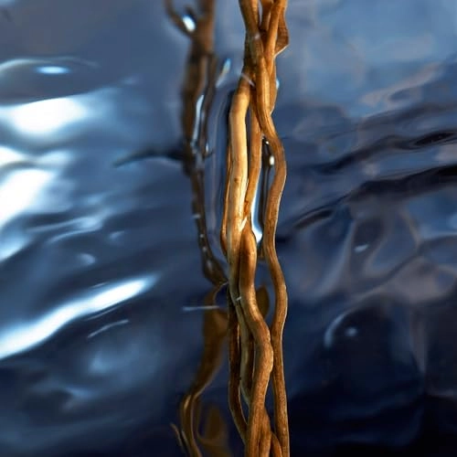 Cool Water Reborn Eau de Toilette 125 ml