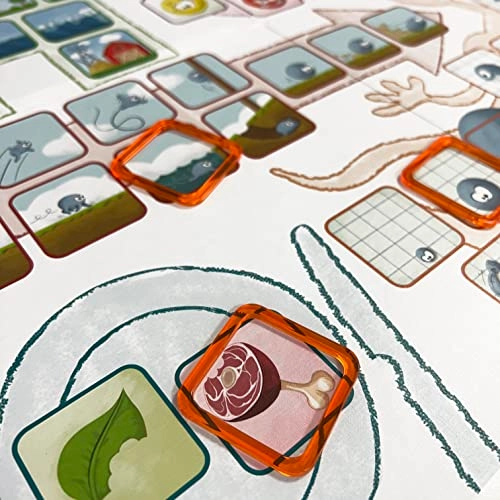 Concept Kids: Animals (Italian)