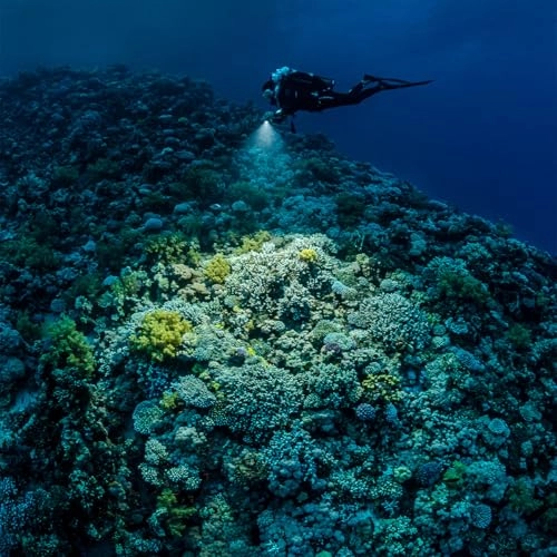 Sea Dragon 3000SF Pro - 120 deg