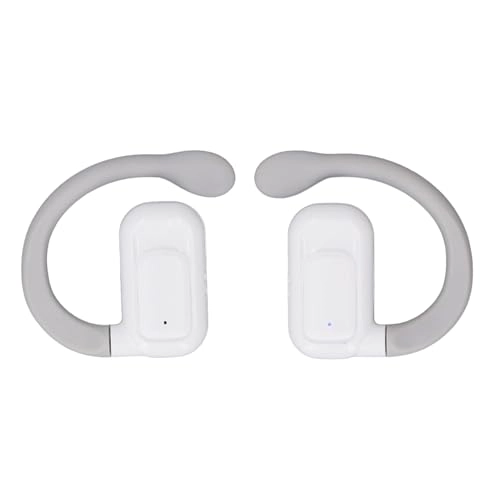 Translation Earphones