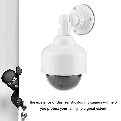 Dummy Dome Security Camera - indoor and outdoor